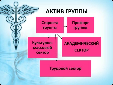 Самоуправление в группе студентов