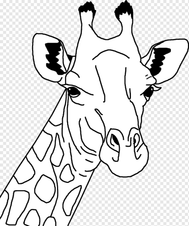 Шаблон жираф (45 фото)