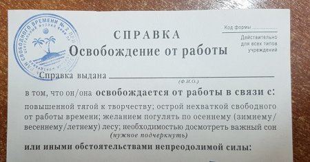 Освобождение от домашних дел