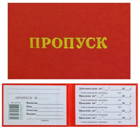 Пропуск в зону из сталкера