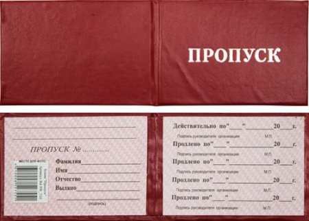 Пропуск для автомобиля образец