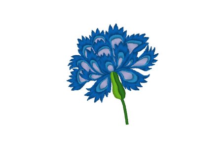 Василек рисунок