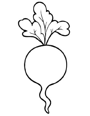 Редис раскраска для детей