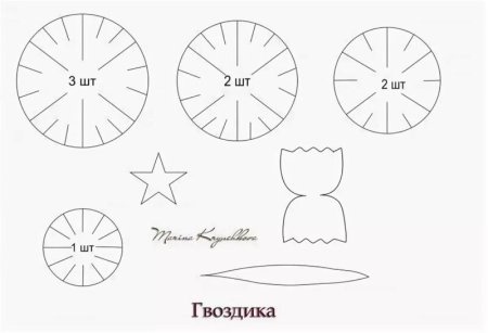 Гвоздика вытынанка к 9 мая