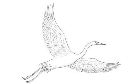 Журавли для рисования