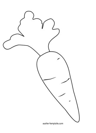 Морковь шаблон