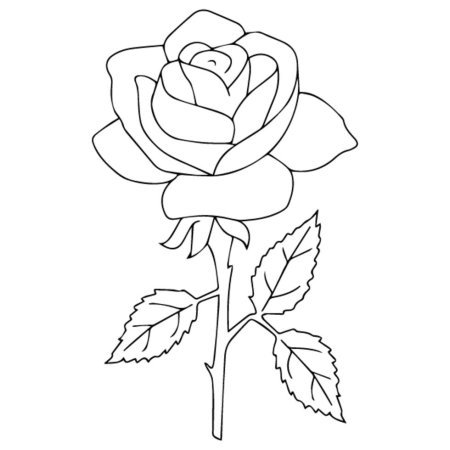 Роза раскраска