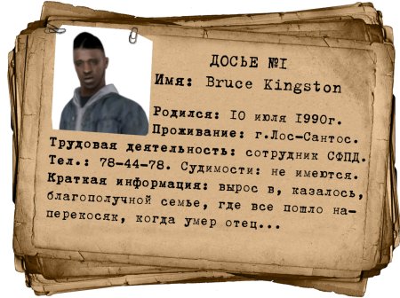 Досье образец