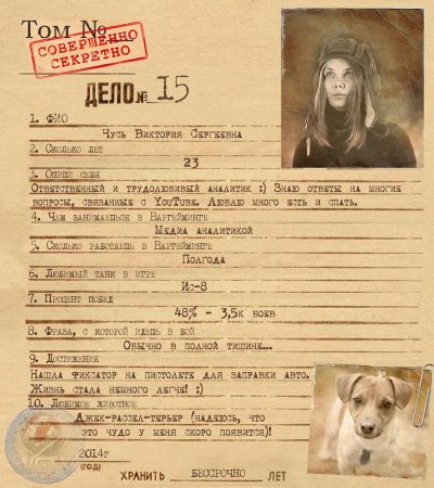 Досье шаблон