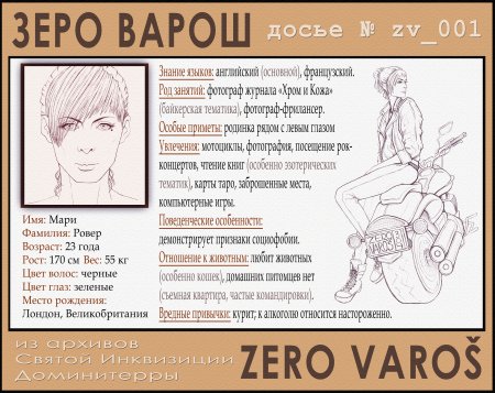 Досье образец