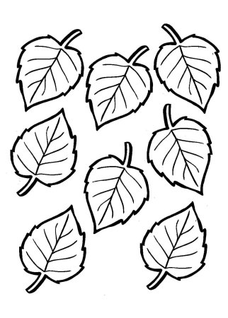 Шаблон листок березовый (41 фото)