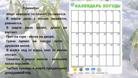 Календарь наблюдений за природой