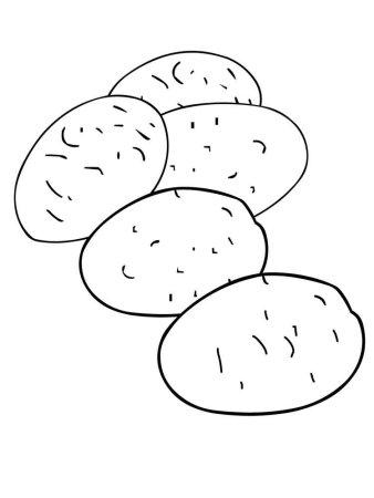 Картошка рисунок