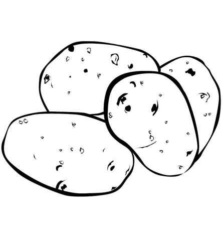 Картофель раскраска для детей