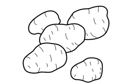 Картошка раскраска