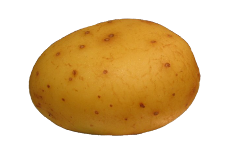 Картошка раскраска