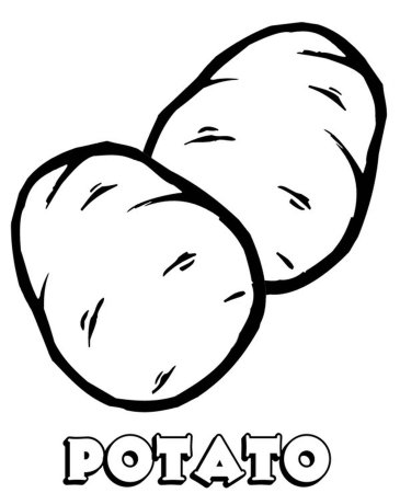Картофель 'Russet Burbank'