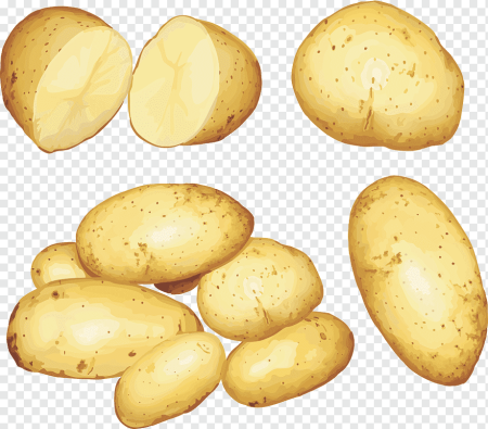 Картошка с глазами раскраска