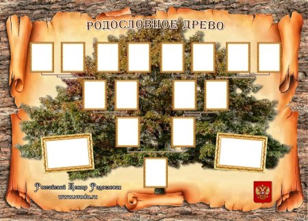 Родословное дерево семьи