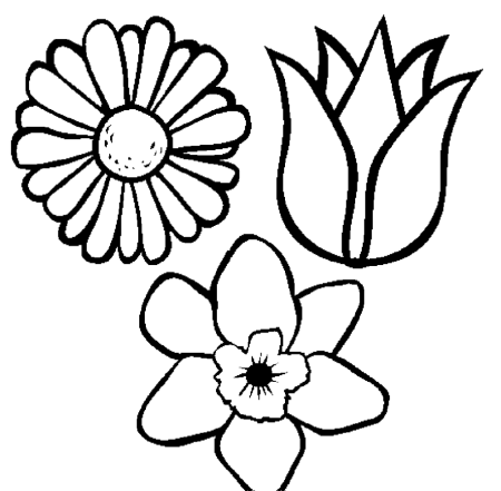 Цветы. Раскраска