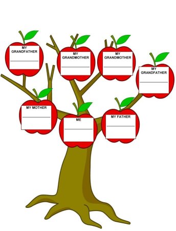 Семейное дерево (my Family Tree)