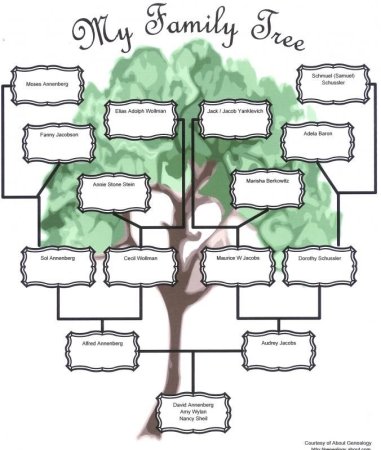 Проект по английскому языку 3 класс my Family Tree