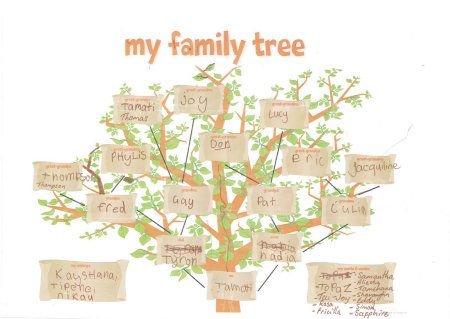 Семейное дерево Family Tree