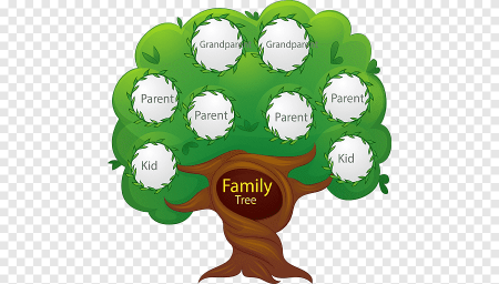 Проект по английскому языку my Family Tree