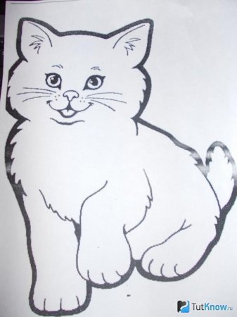 Трафарет кота для аппликации