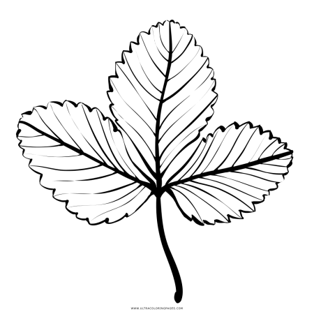 Листья клубники