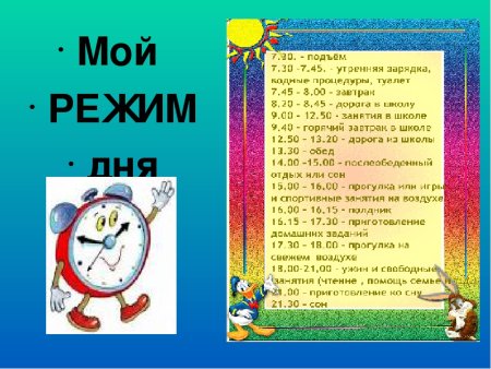 Распорядок дня шаблон