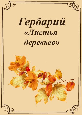 Бирки для гербария