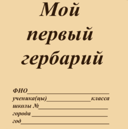 Осенние рамки для грамот
