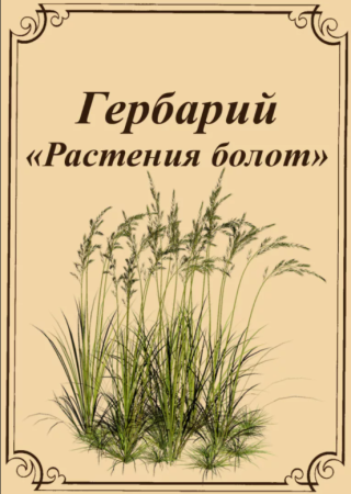 Шаблоны для гербария