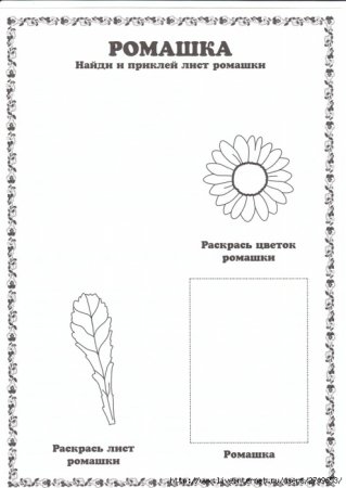 Шаблоны для гербария