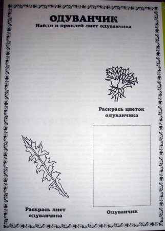 Обложка для гербария