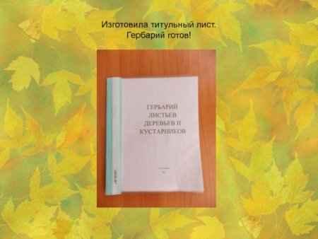 Фоны для титульного Лита