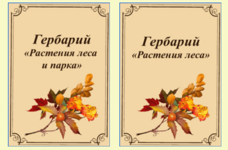 Рамка осень черно белая