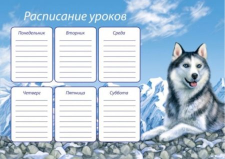 Расписание уроков для мальчиков