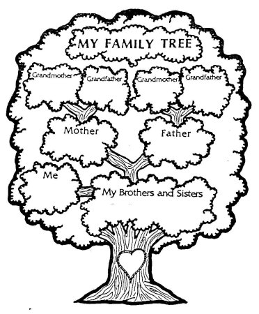 Семейное дерево (my Family Tree)