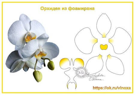 Трафарет орхидеи из фоамирана