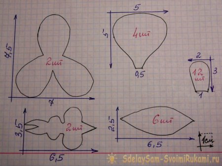 Лекало орхидеи