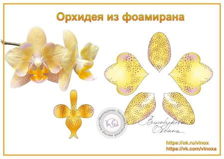 Лекало орхидеи
