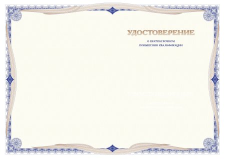 Сертификат заготовка