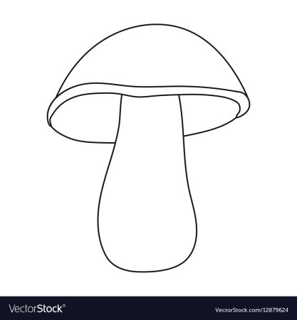 Гриб контур