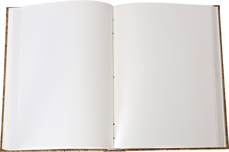 Разворот книги
