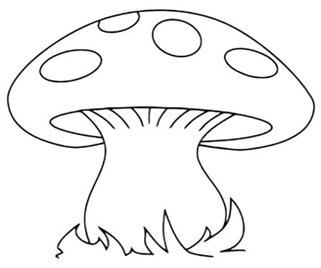 Шаблон гриб белый (45 фото)