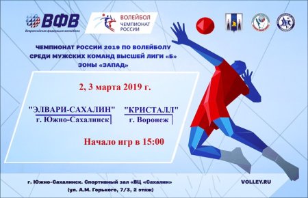 Турнир по волейболу афиша