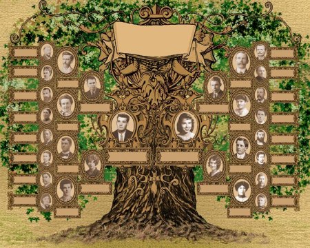 Рисование генеалогического дерева