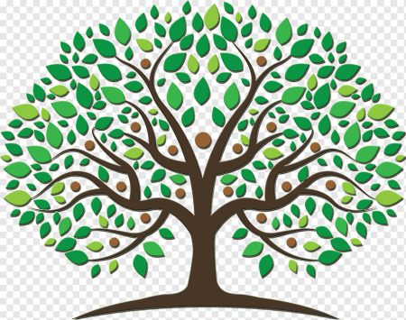 Генеалогическое Древо Family Tree